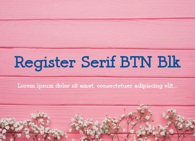 Register Serif BTN Blk example